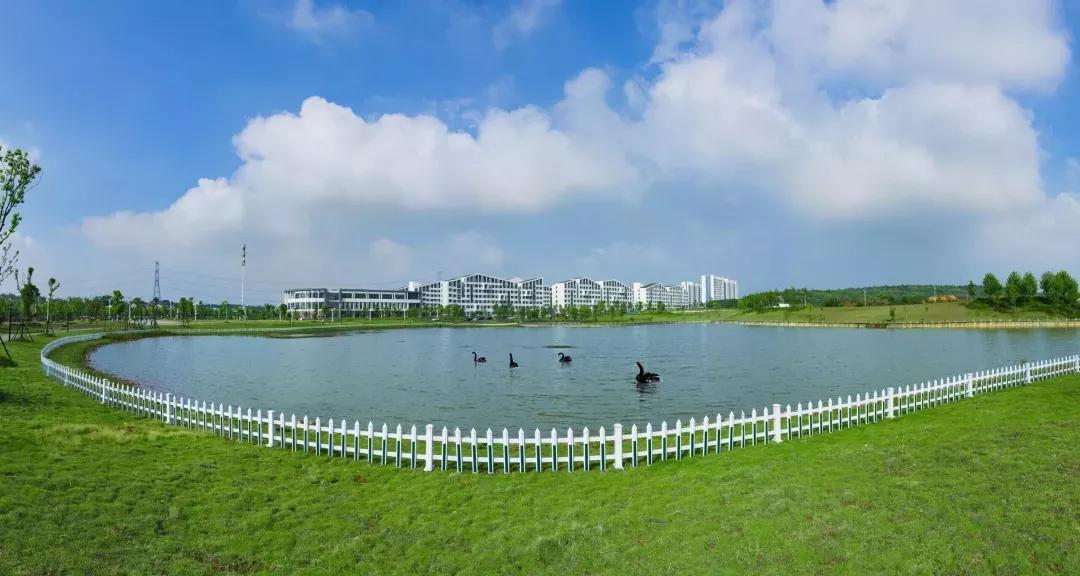 安徽省高校合肥理工,安徽省二类本科公办大学