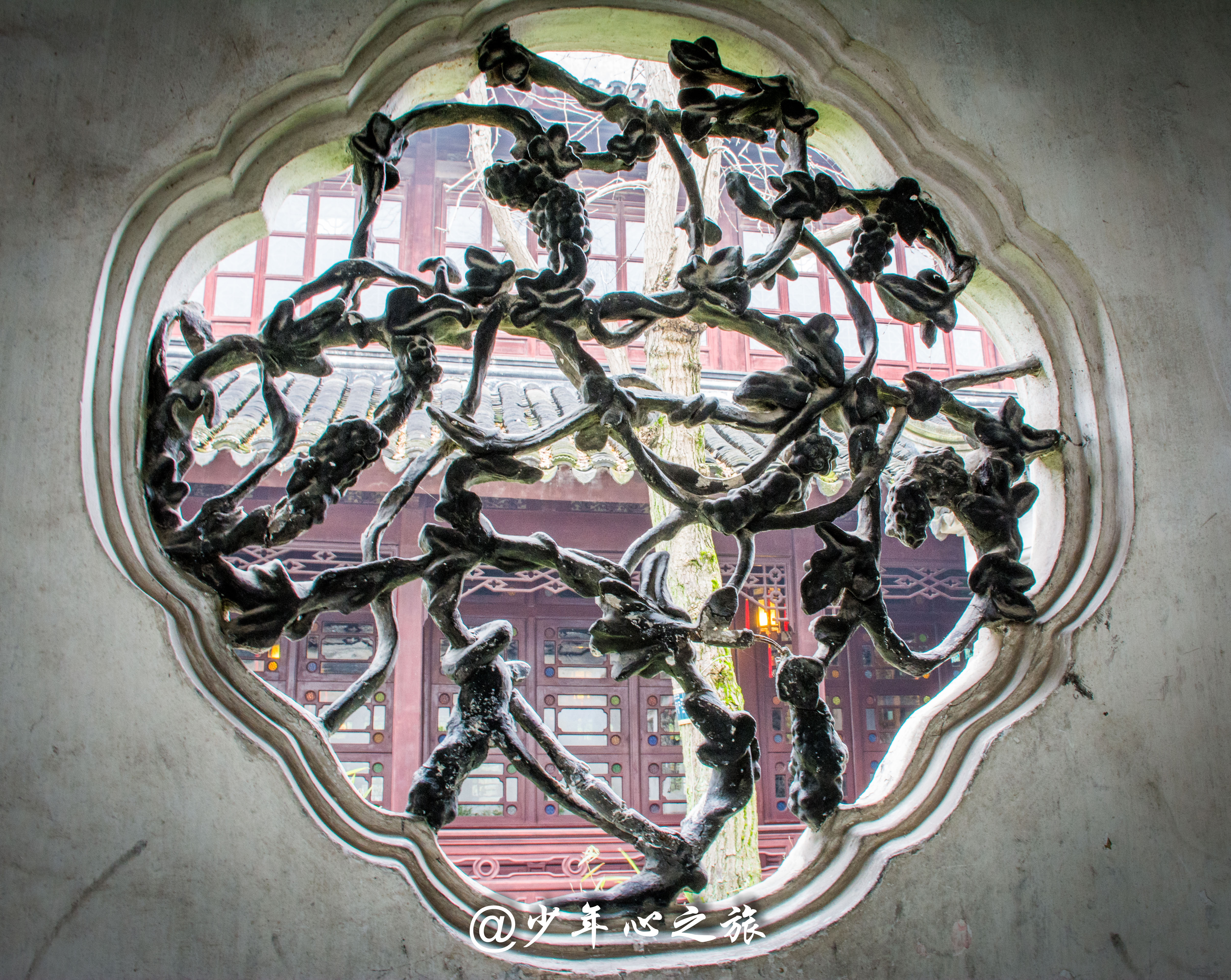 苏州亲子园林,苏州适合带小孩游玩的园林