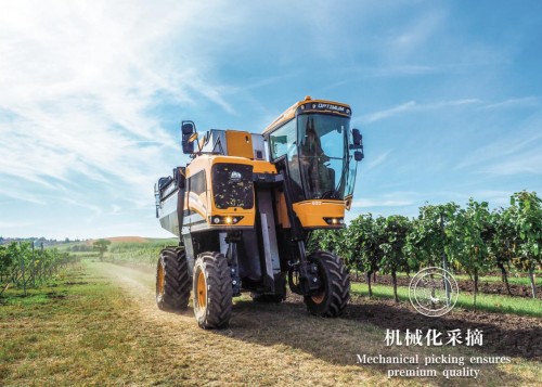 澳大利亚经典葡萄酒名品,澳洲葡萄酒产区和品位