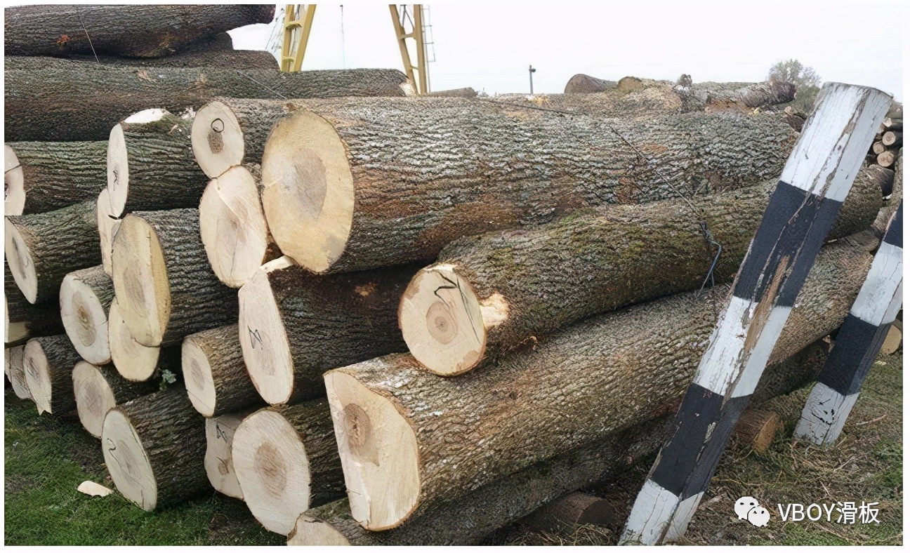 滑板课室|只认品牌和图案？进来学习挑选板面