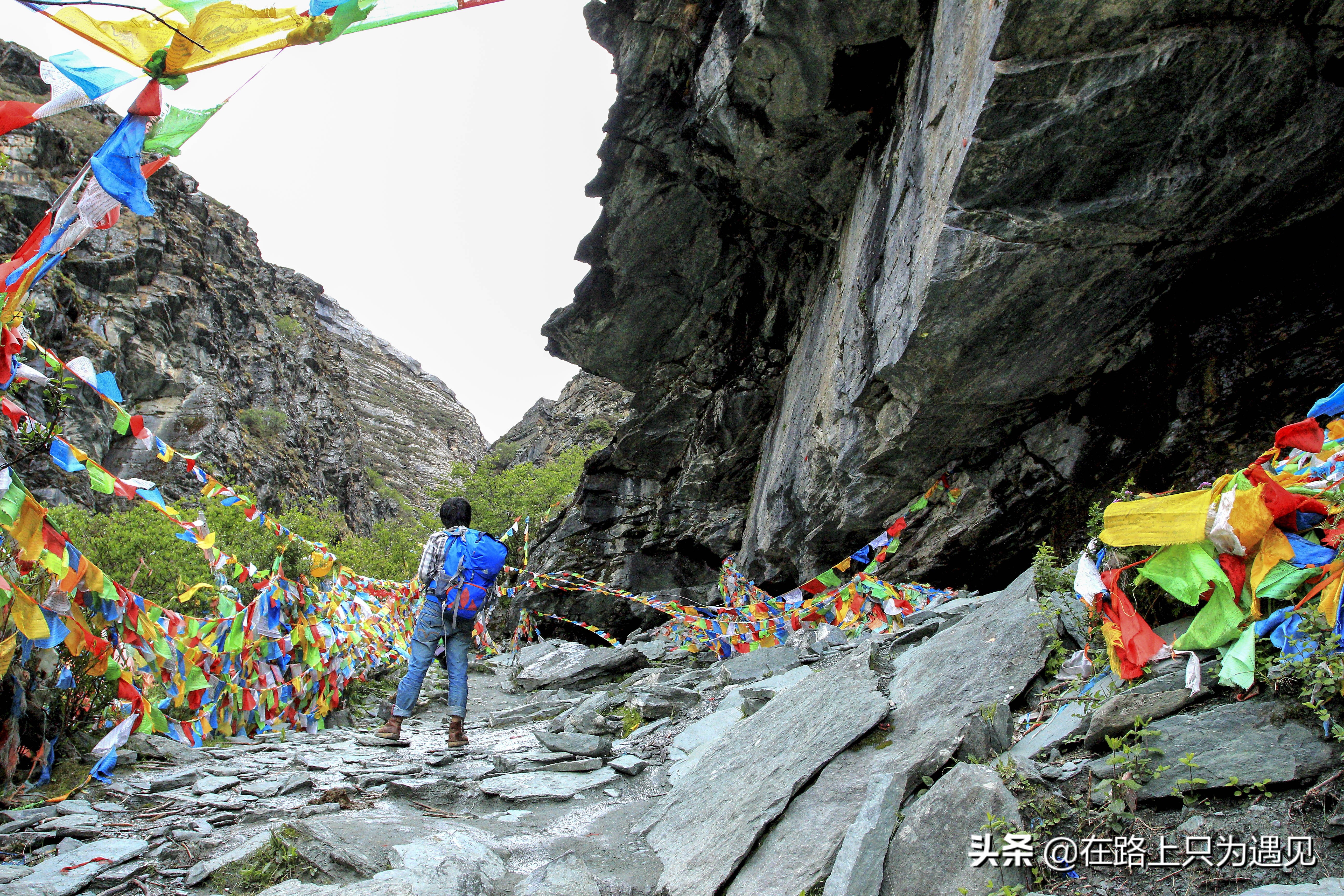 从你的全世界路过稻城亚丁主人公,从你的全世界路过稻城亚丁片段