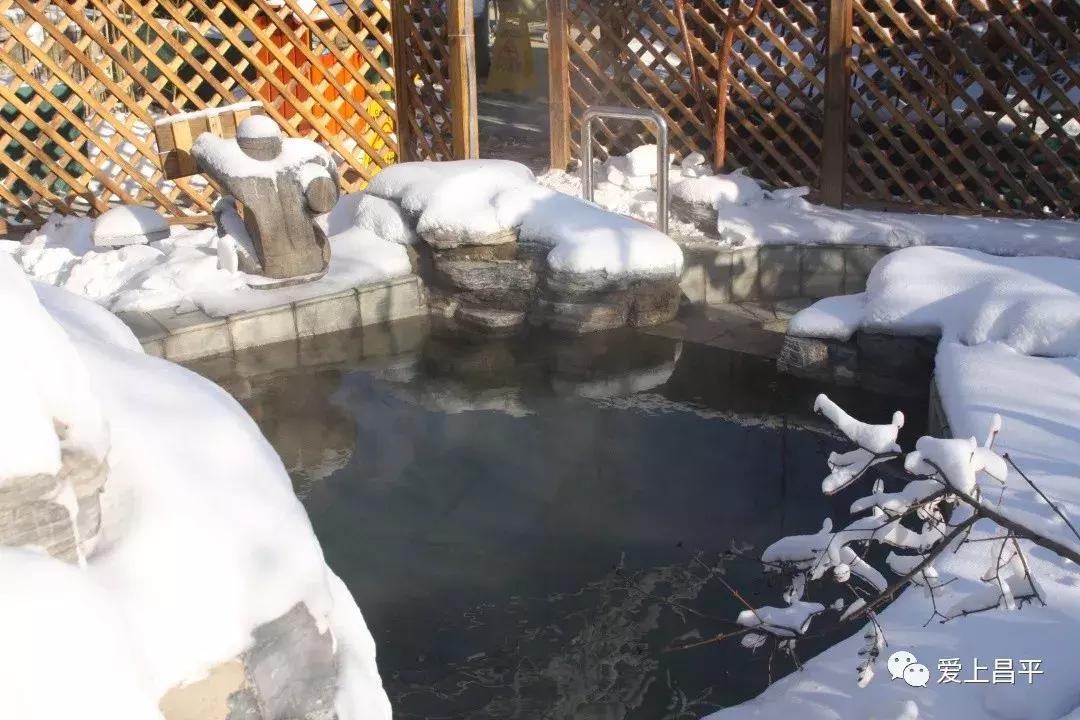 享受自家小院这悠闲时光,享受独处小院时光