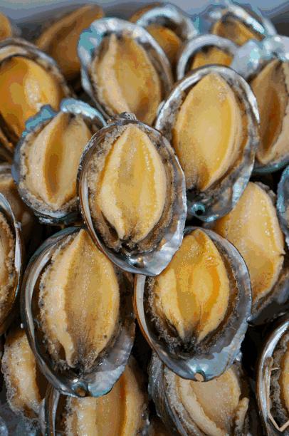 上海浦东香格里拉吃饭,魔都浦东吃喝