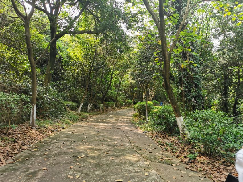 东莞长安周边一日游景点大全,东莞松山湖一日游最佳攻略
