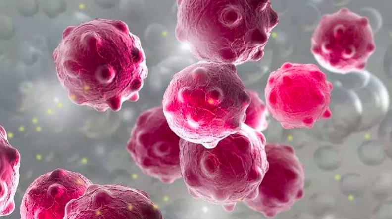 新冠病毒到现在地球上死了多少人 (人类大战新冠病毒的十个场面)