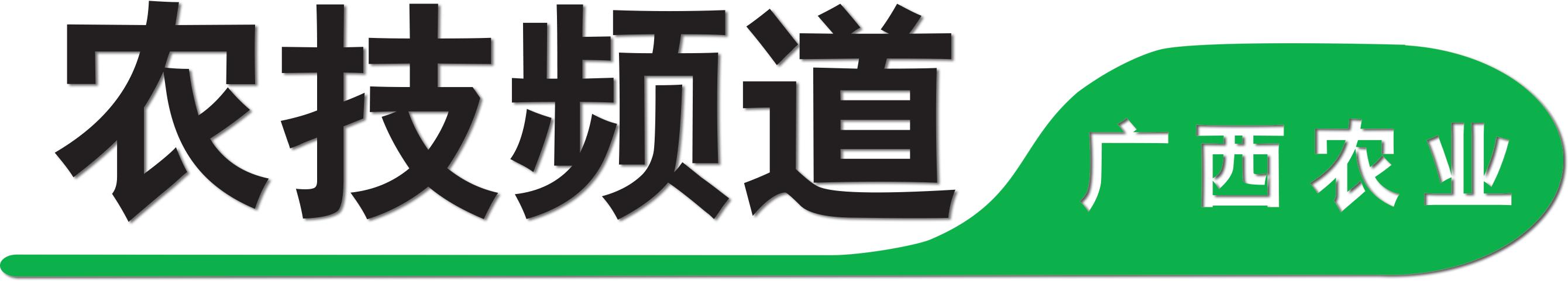 黑木耳深加工技术,黑木耳采摘过程