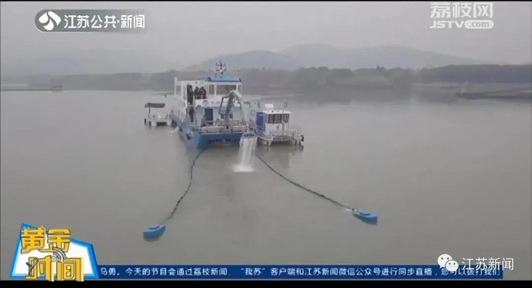 太湖蓝藻为什么年年爆发,太湖蓝藻疯长