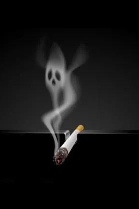 草烟多少钱一斤,草烟历史