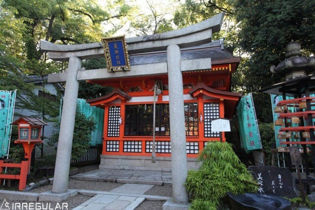 带你去看最真实的日本,带你去看看真实的日本