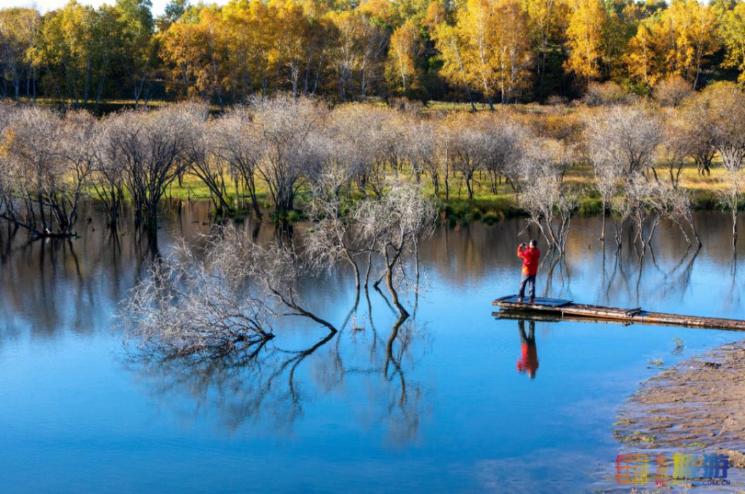 一到秋天，这里就美成了金色天堂！全世界独一份！