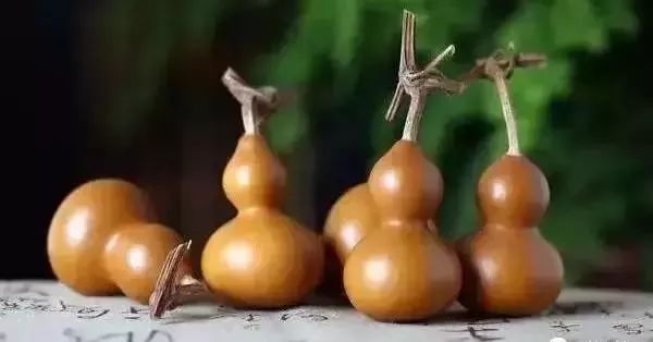 文玩葫芦龙头生虫怎么办,文玩葫芦如何避免损坏龙头