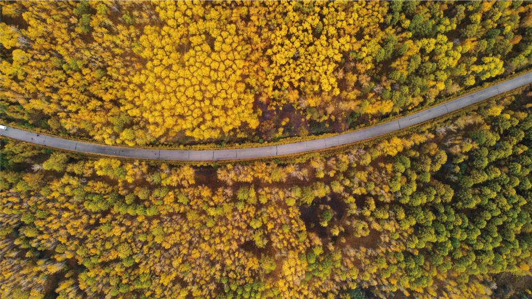 户外十大经典路线,全国最受欢迎的旅游线路