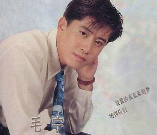 歌星毛宁的现状,歌手毛宁隐退歌坛的原因