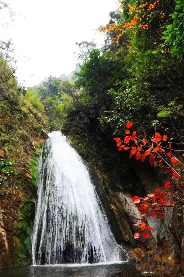 西安自驾秦岭秋色最好的地方,西安自驾一日游的绝佳去处秦岭
