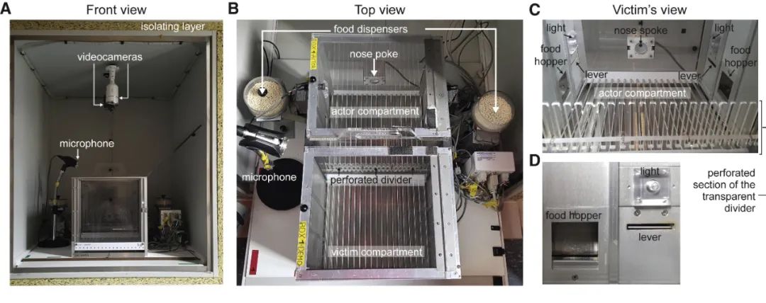 电击同伴就有糖吃,在诱惑与人性的抉择中你的表现可能和它差不多