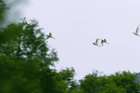 疫情解封后报复性消费的行业,疫情之后会出现消费狂潮么