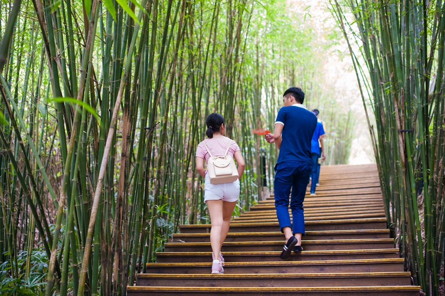 华侨城瀑布酒店房+餐+票，全部只要499！景区VIP通道免排队等你来