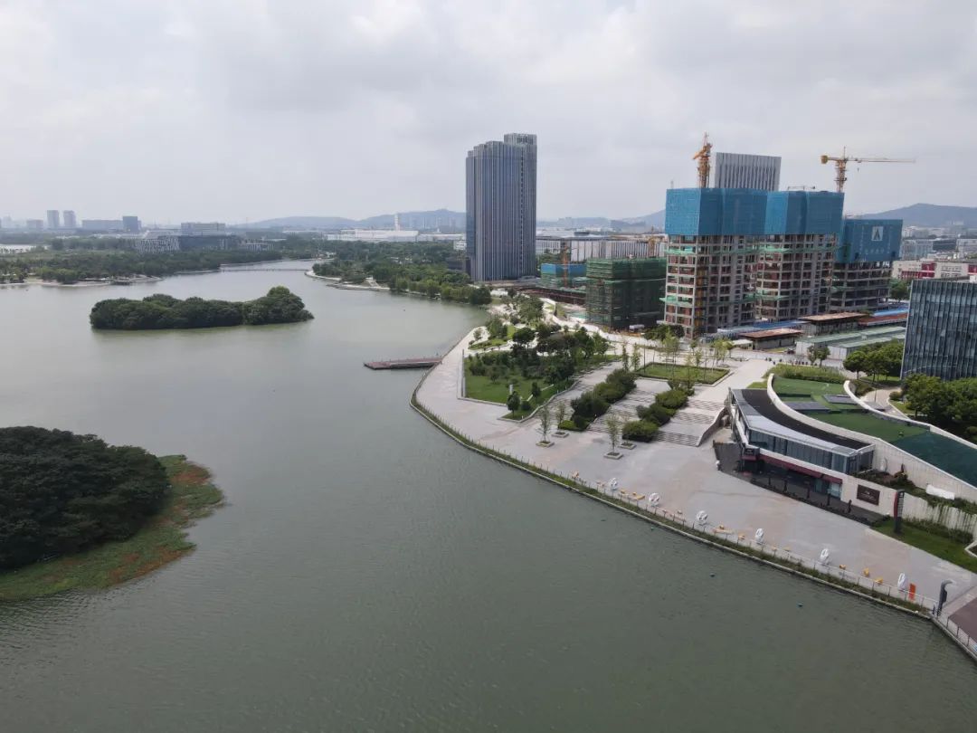 用36张照片记录我们的2022,我们用照片记录青春