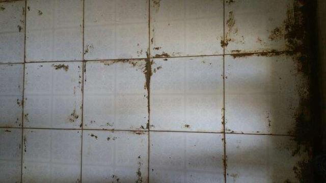 家庭用客厅美缝地砖适合多大尺寸,客厅美缝用美缝剂还是环氧彩砂