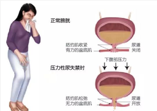 生命汇国际整合医疗怎么样,生命源国际整合医疗