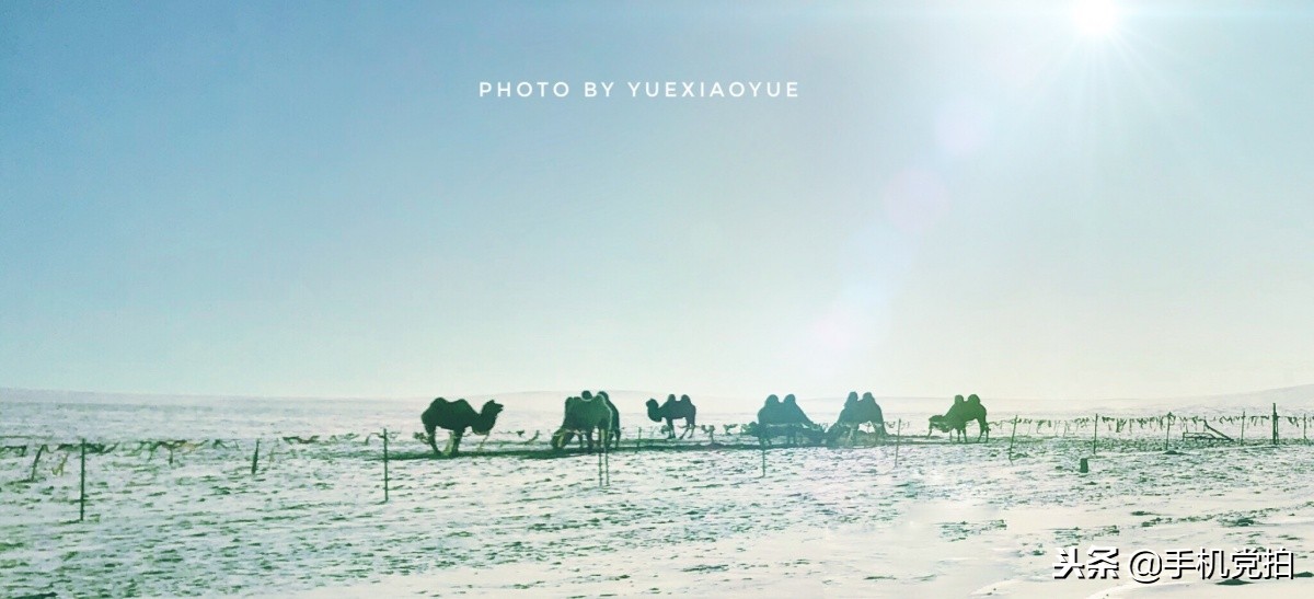 教你手机拍照全景,360度全视角全景手机怎么拍