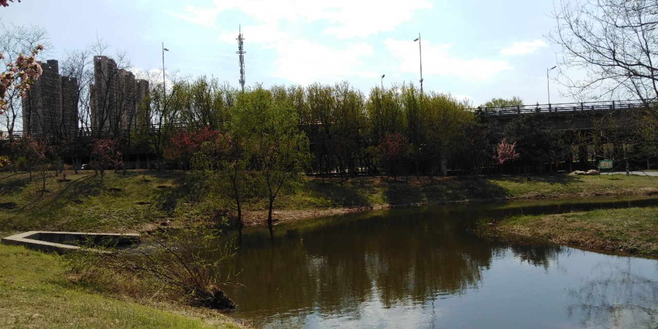 沈阳长白岛森林公园一日游攻略,长白岛森林公园五一