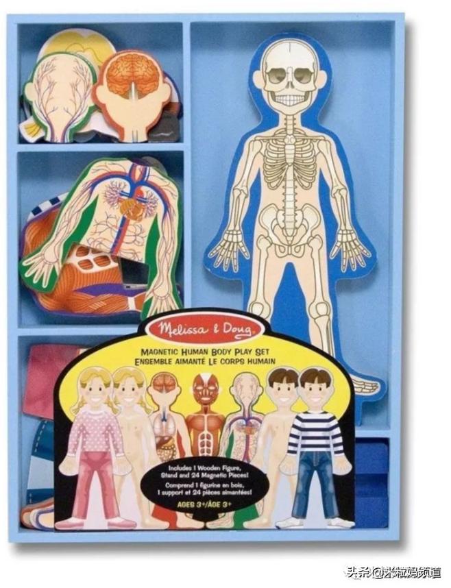 早教拼图益处,早教拼图操作流程