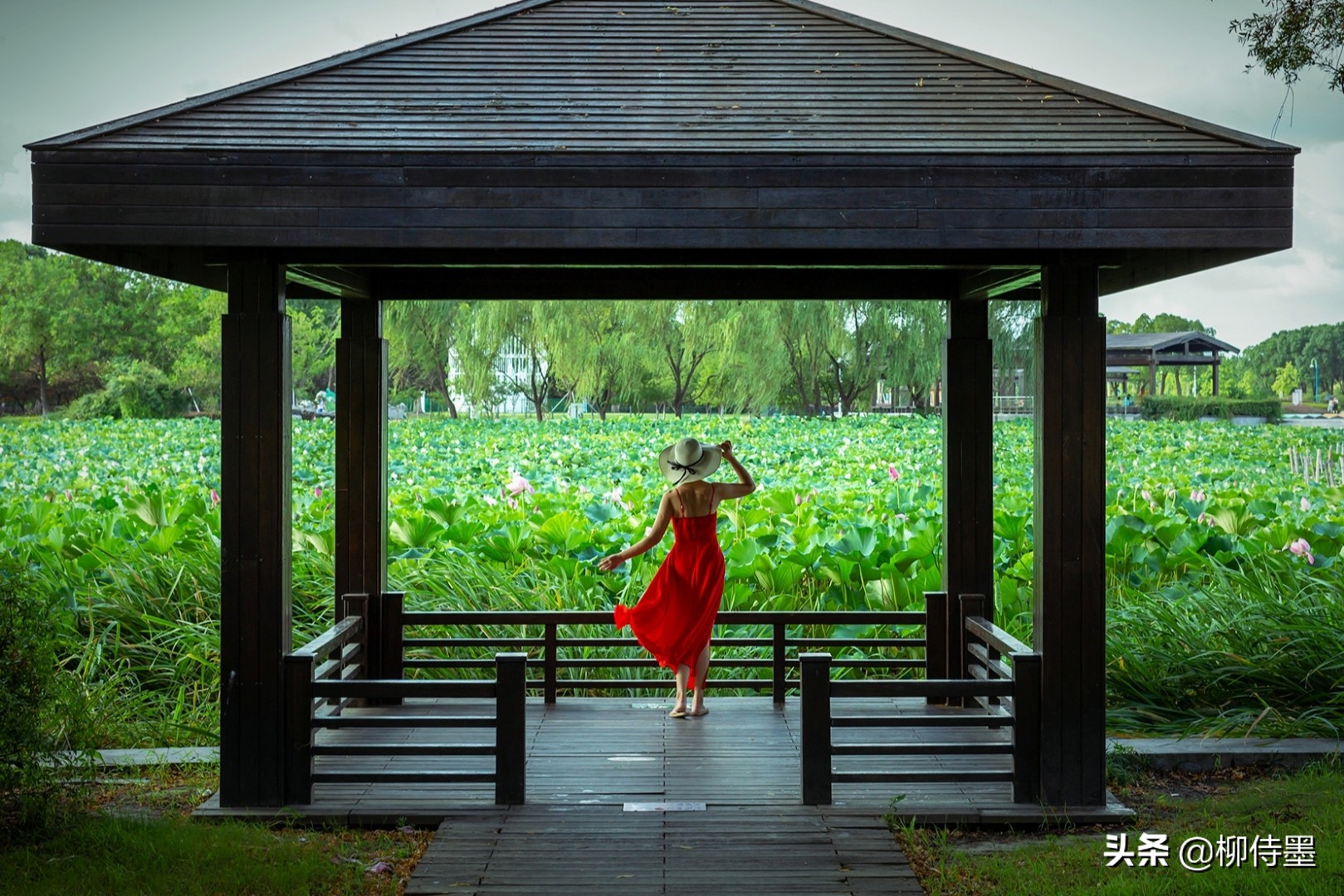 零基础学摄影后期怎么拍,风光摄影100种拍法
