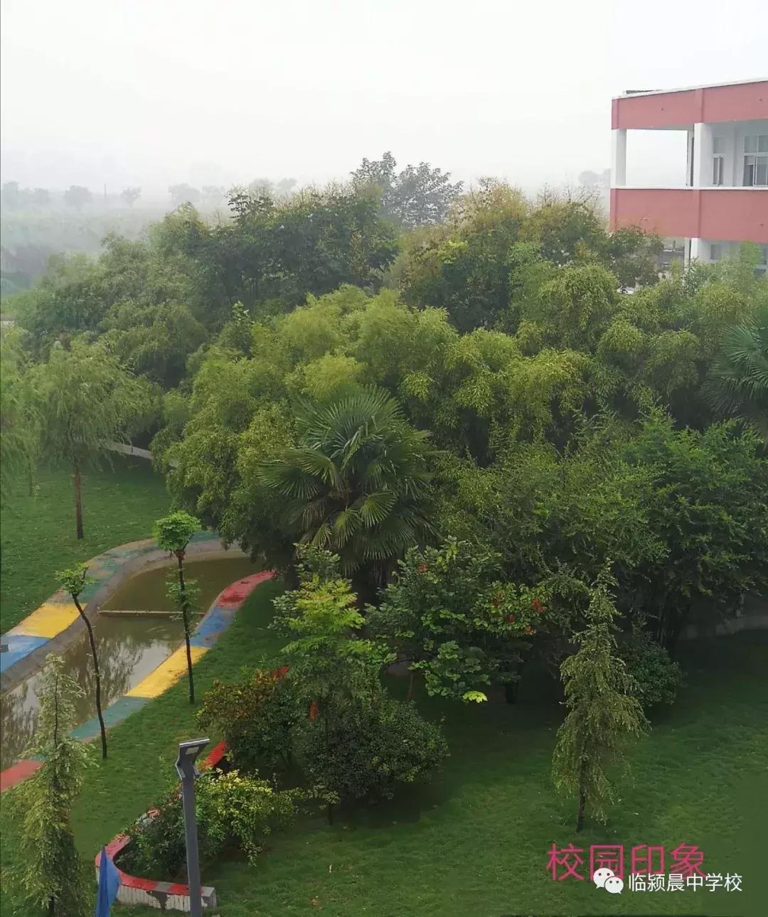 临颍第一所公立寄宿制学校,临颍县城中小学
