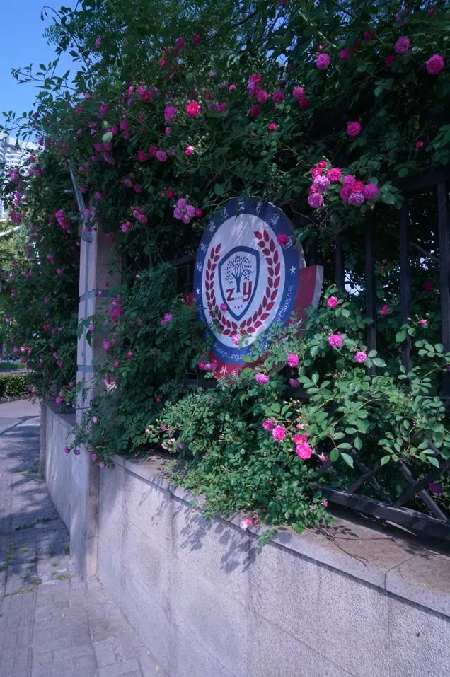 南京河西名校,南京河西中最好的学区