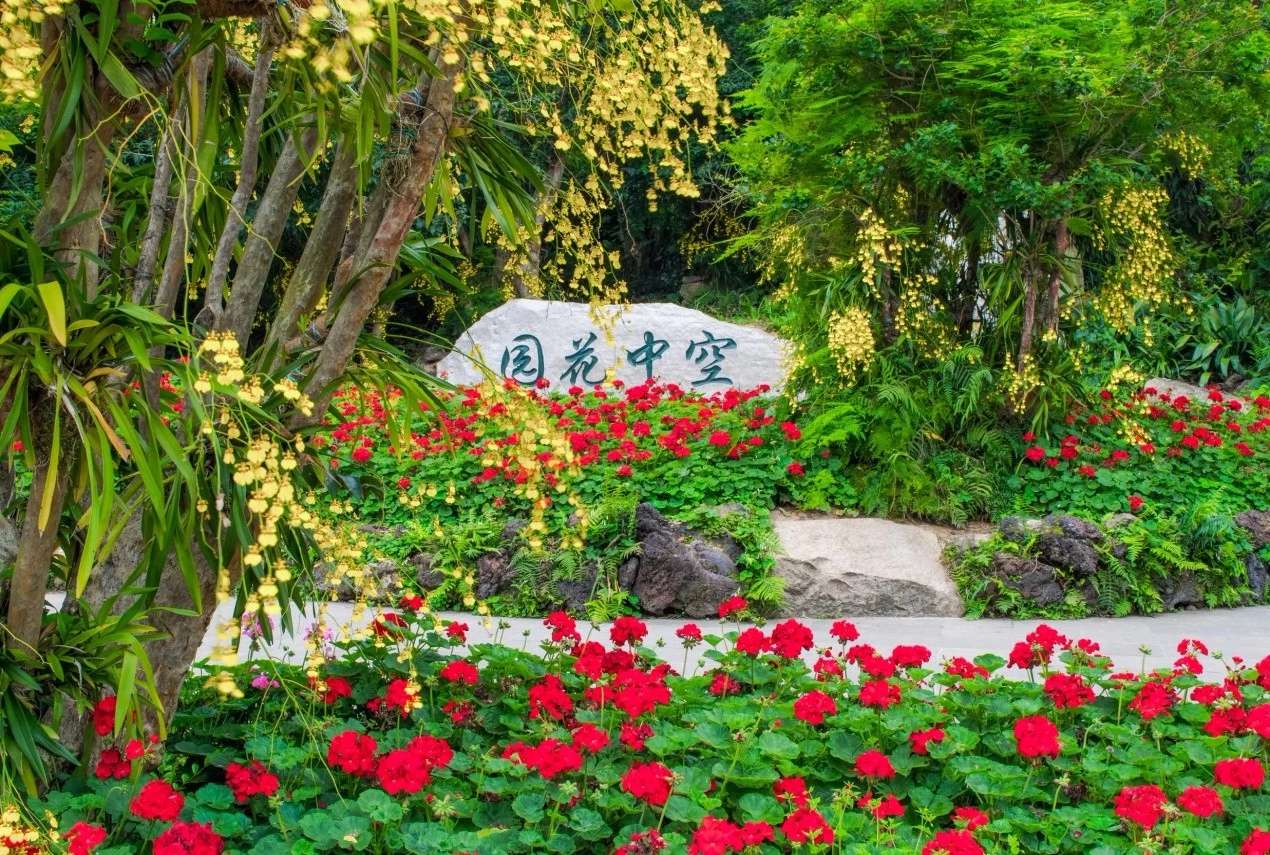 放假的时候逛了青秀山,去青秀山游玩收获了哪些