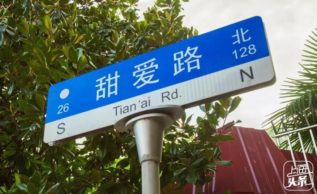 有一种记忆叫永远的回忆,有一种记忆叫失忆