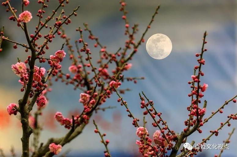 伏牛笔耕苑第214期2021.3.6