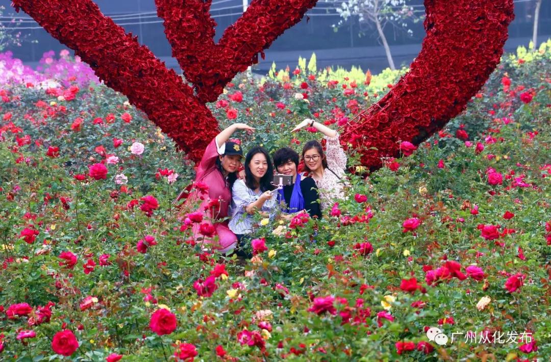 全国群众登山健身大会广州,2022全国登高健身大会