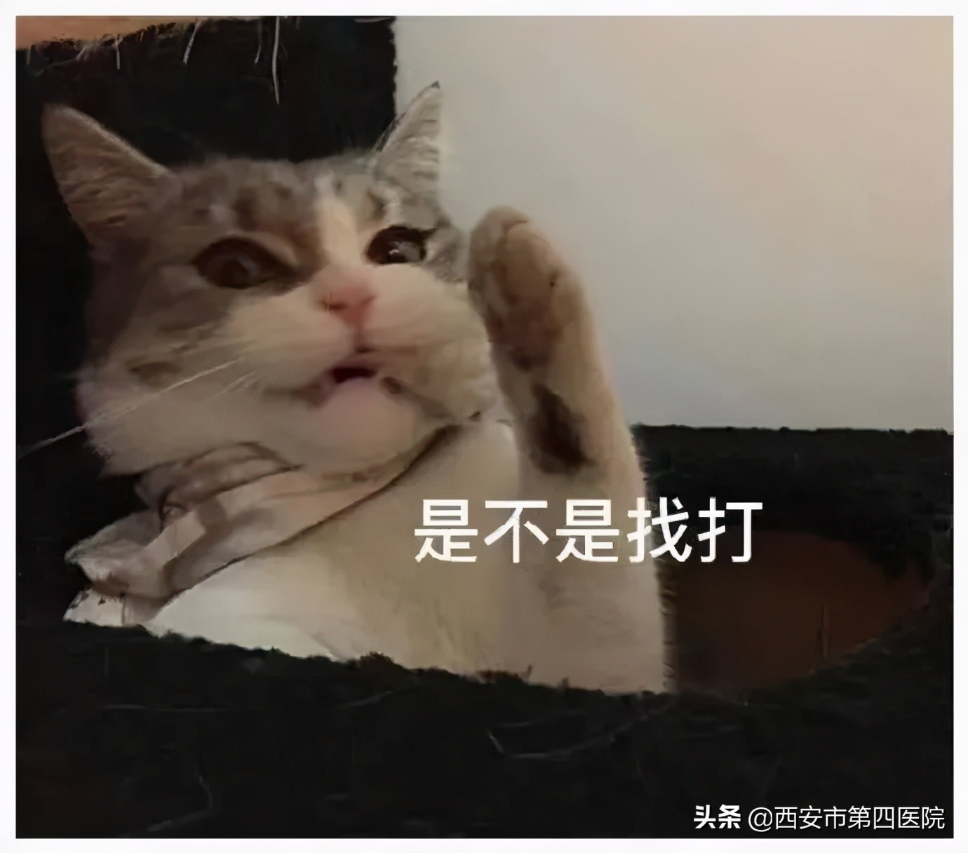 安心变美图片大全,安心变美护肤