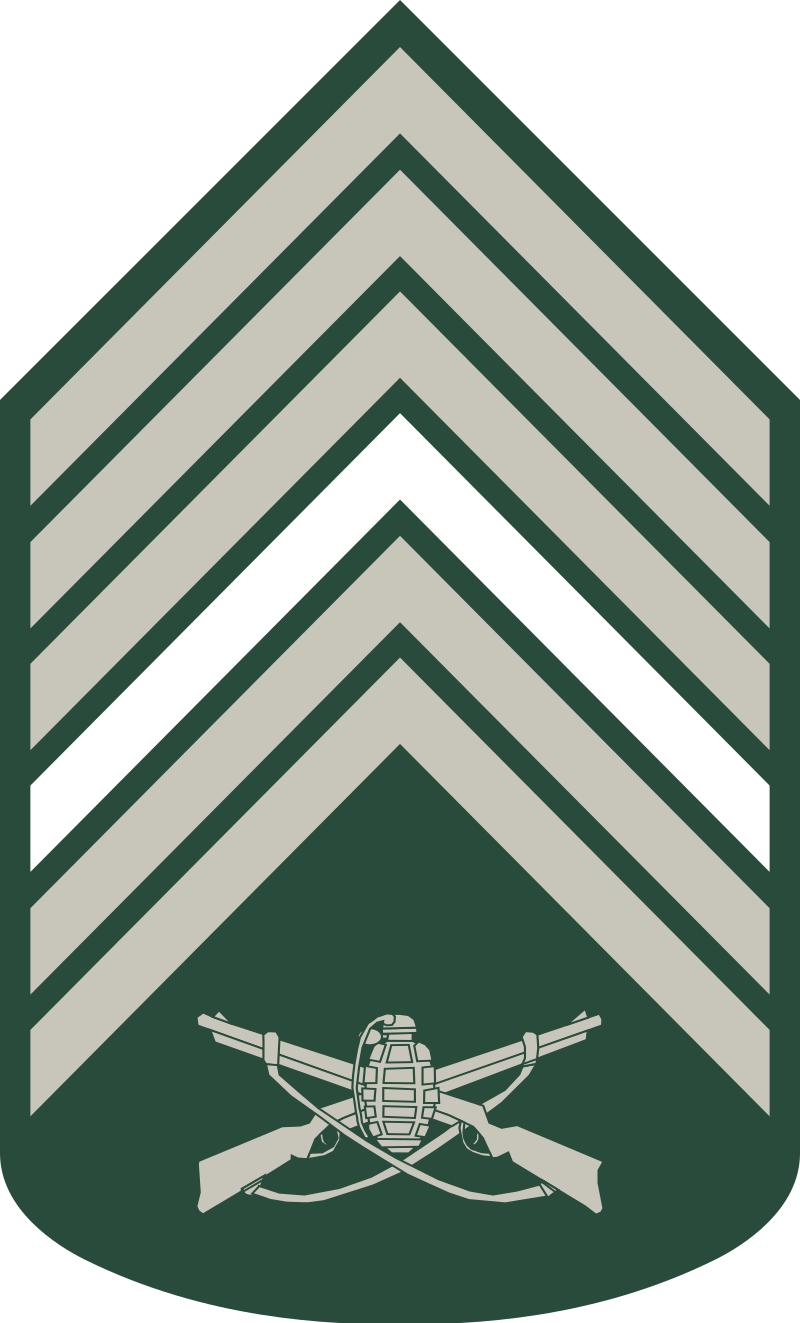 巴西军衔图片,各国军衔标识俄罗斯