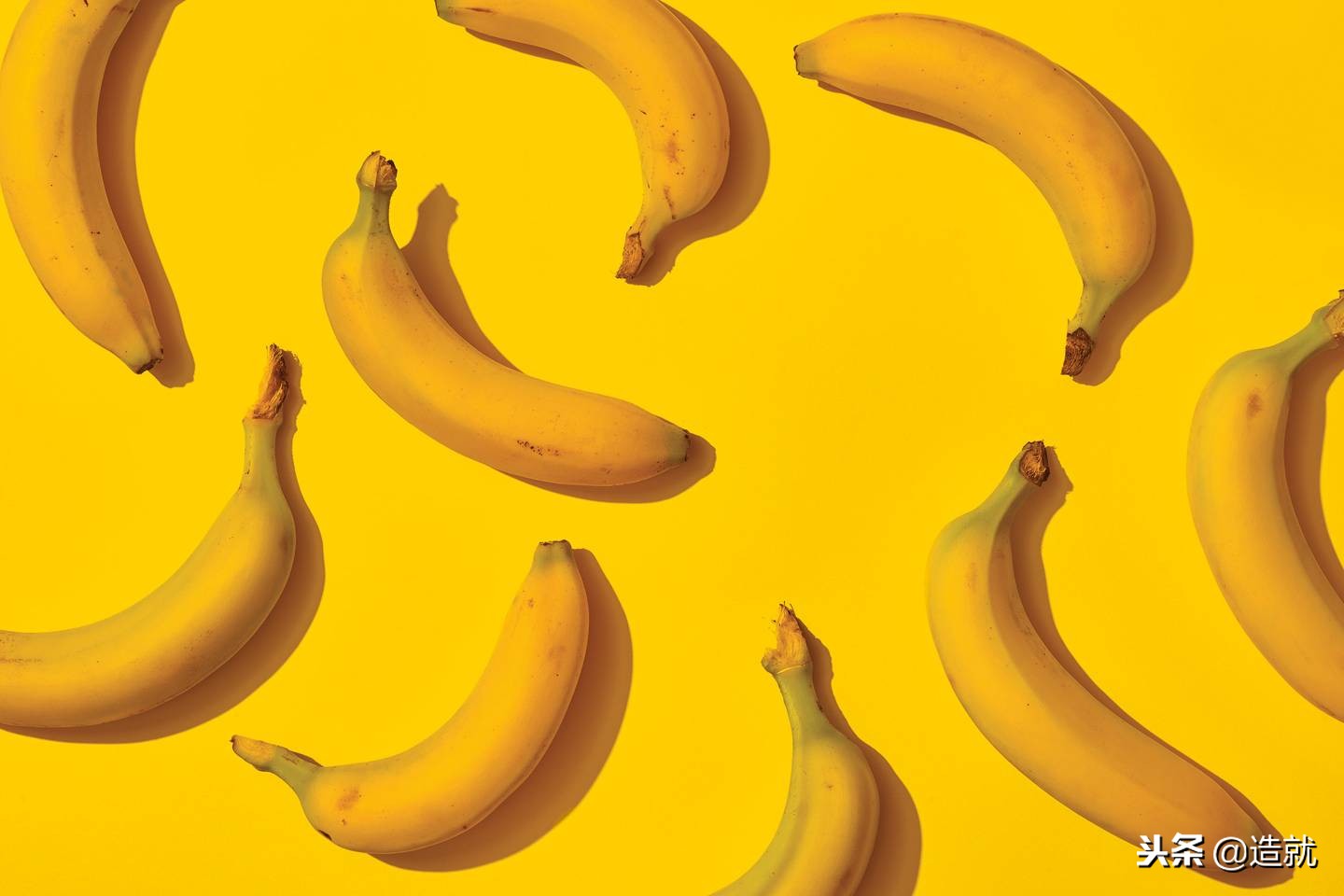 香蕉灭绝时间表,香蕉正面临灭绝的危险