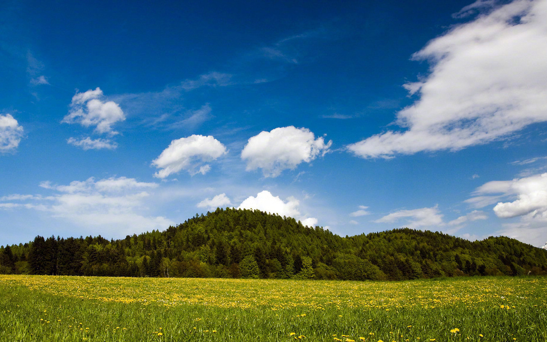 心理学被欺负了怎么反击,心理学为什么被怼反而很舒服