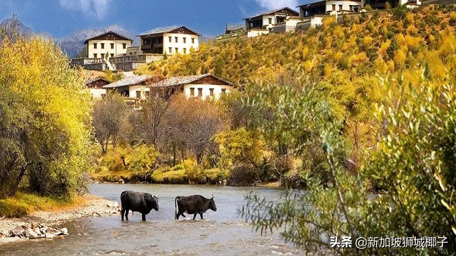 新加坡本土品牌,原来这些都是洋品牌