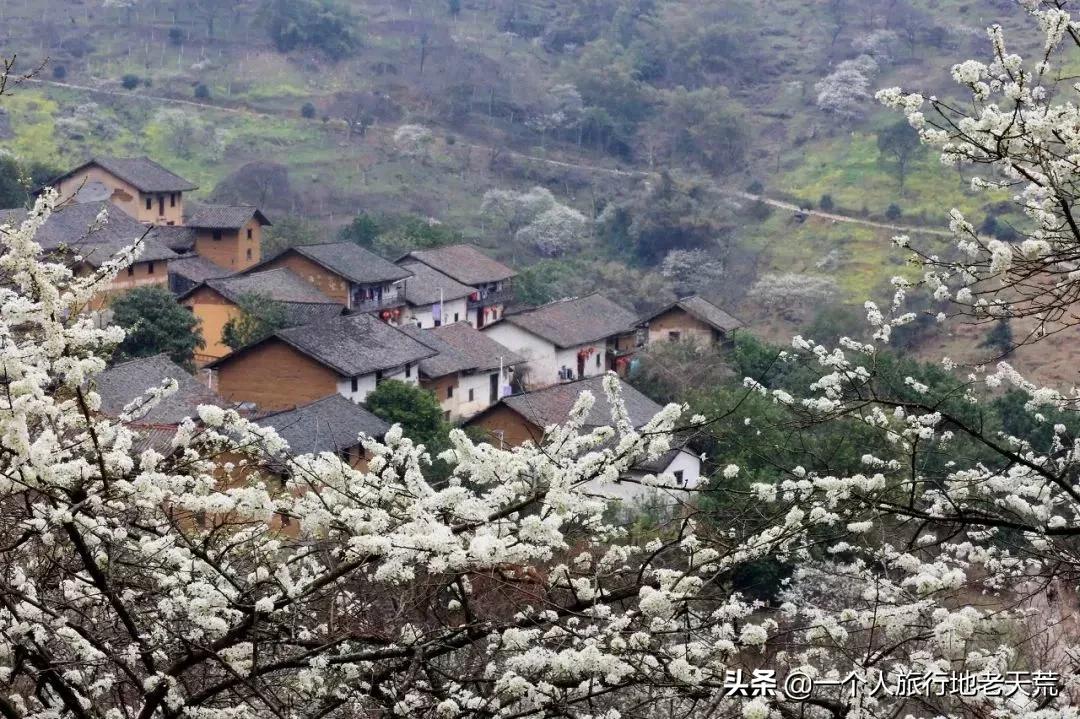 广西哪些城市是靠一碗粉火起来的,凭一碗螺蛳粉征服世界