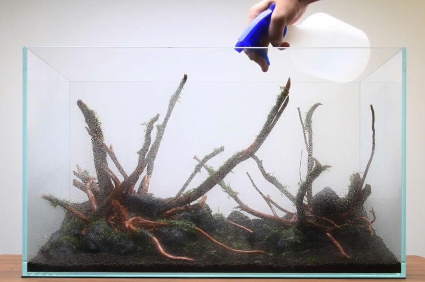 鱼缸最简单的草缸造景教程,鱼缸造景草栽种教程