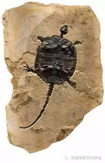 鬼斧神工地质遗珍视频,鬼斧神工的地质