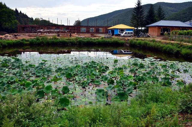 “禁野是武断的，野味是人类刚需”，这个组织为何要逆流发声？