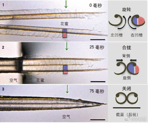 湿头发为什么看起来秃,头发一坨粘在一起怎么办