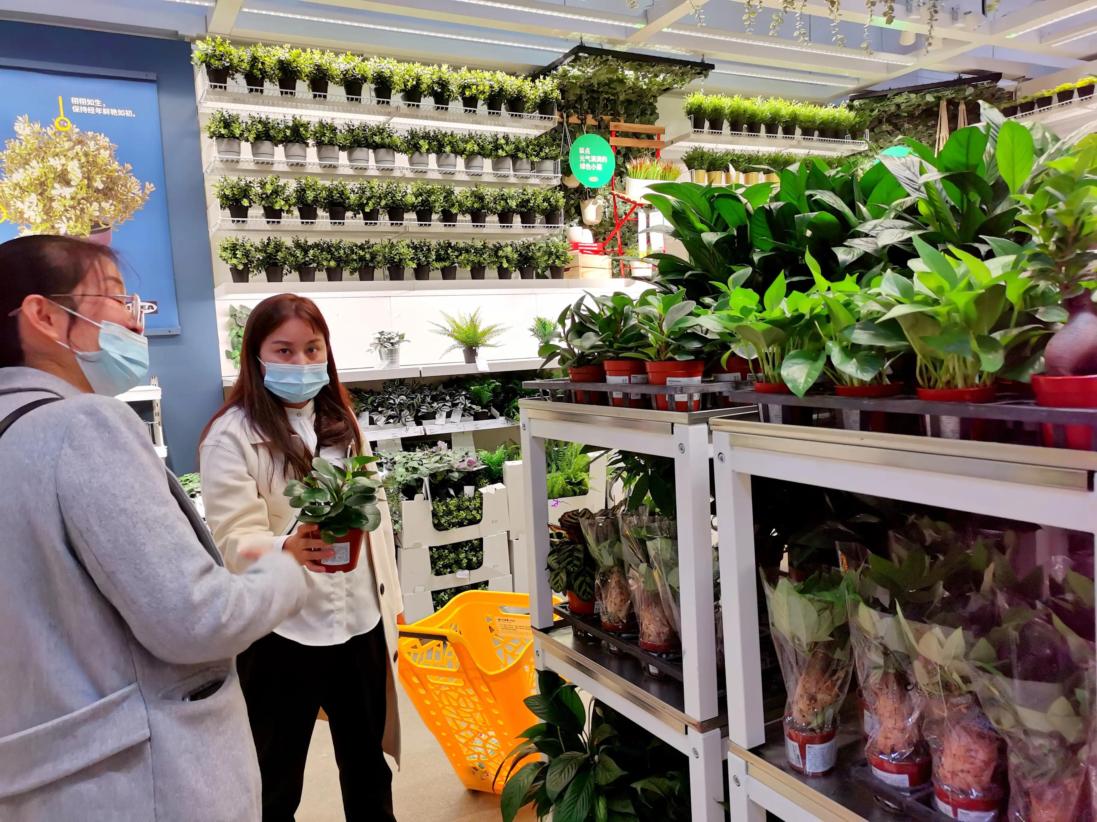 昆明宜家开业了吗,昆明宜家今天开业人多吗