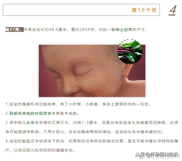 怀孕各个时期胎儿发育过程,怀孕的过程要几天