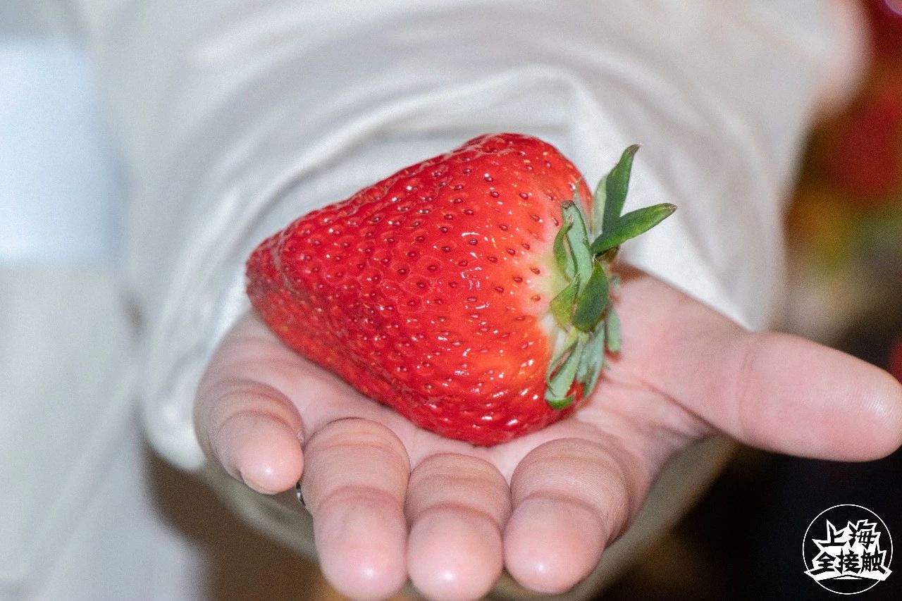 年货推荐！Olé精品超市里这么多新年礼盒，赶紧来收藏！