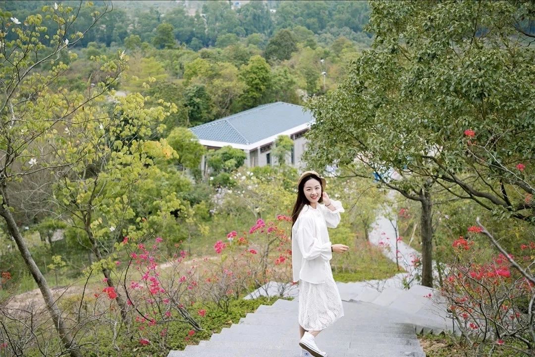 深圳游玩好去处攻略,深圳7个自驾游免费好去处推荐