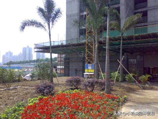 住宅小区植物配置方案,植物种植小技巧一览表图