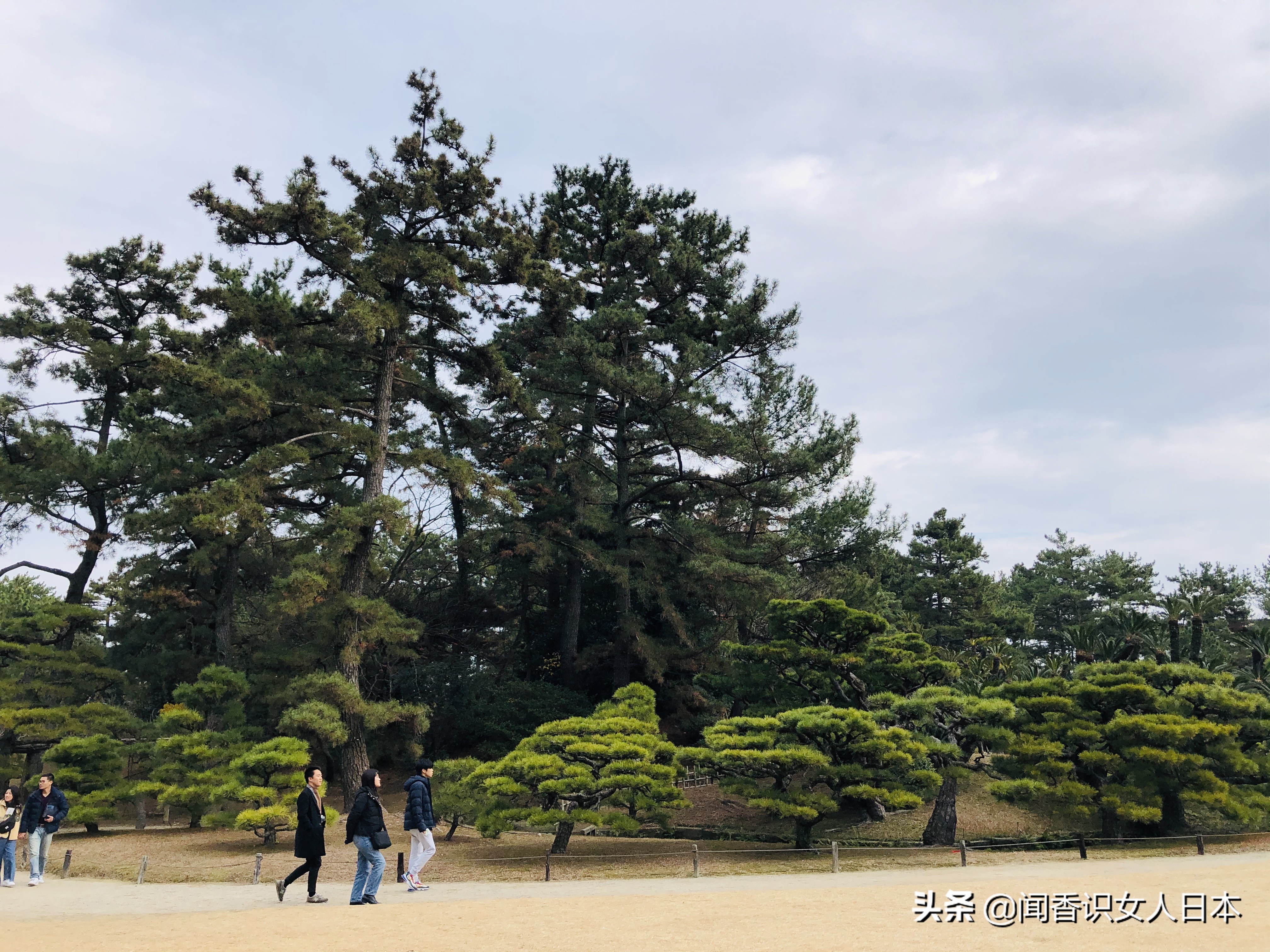 日本的米其林三星餐厅,日本米其林三星参观